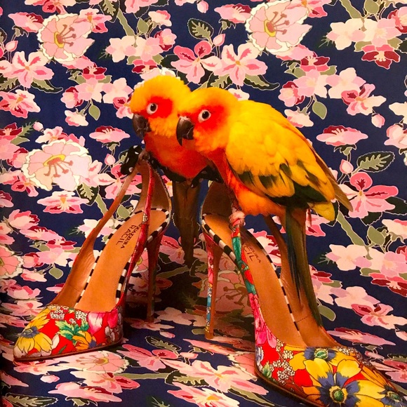 Dare to be bold - Picture 6 of 9